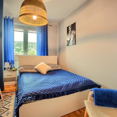 Apartamenty Bieszczadzki Aniol Ustrzyki Dolne Eksteriør billede