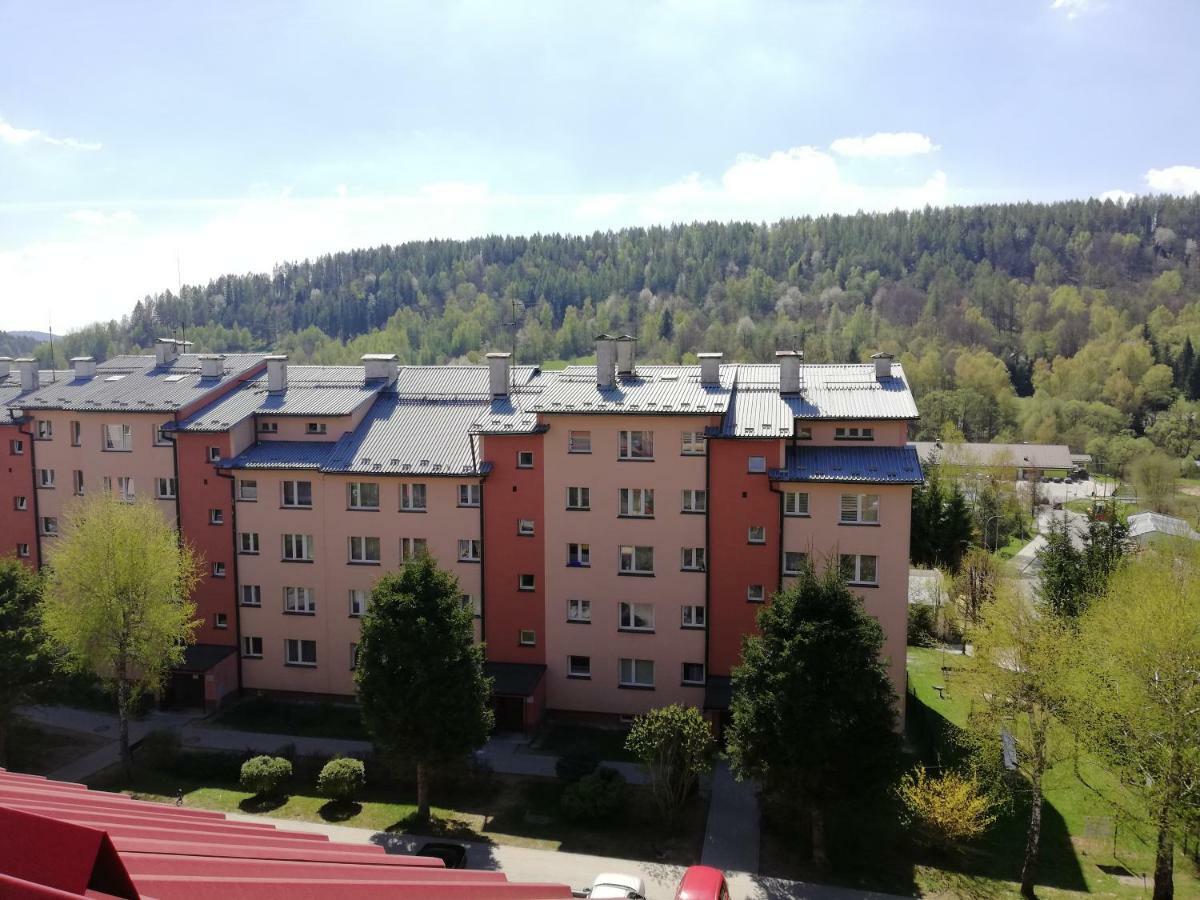 Apartamenty Bieszczadzki Aniol Ustrzyki Dolne Eksteriør billede