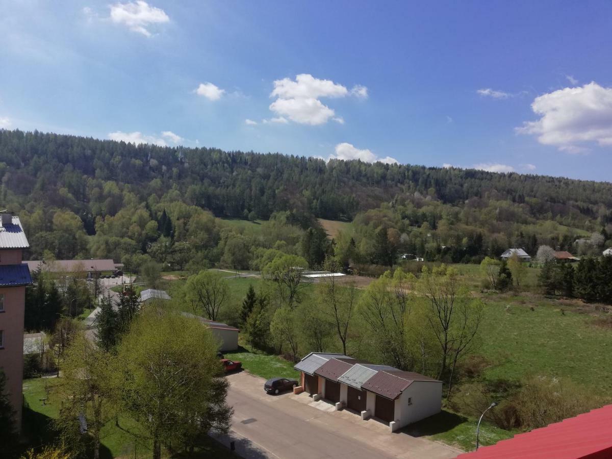 Apartamenty Bieszczadzki Aniol Ustrzyki Dolne Eksteriør billede